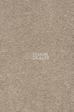 Ковролин AW Vivendi Punch 34 фото 1 | FLOORDEALER